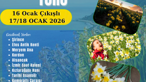 İzmir-Karaburun Nergis Çiçeği Festivali 